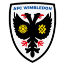 AFC Wimbledon Girls' Pathway