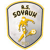 AM.S. SOYAUX