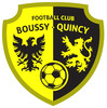 BOUSSY-QUINCY FOOTBALL CLUB