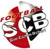 BRIARD S.C.