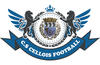 CELLOIS C.S.