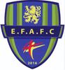 ENT. FEIGNIES AULNOYE FOOTBALL CLUB