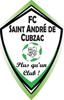 F.C. ST ANDRE CUBZAC