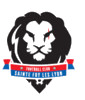 F.C. STE FOY LES LYON