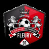 FLEURY 91 F.C.