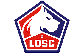 LILLE SELECAO
